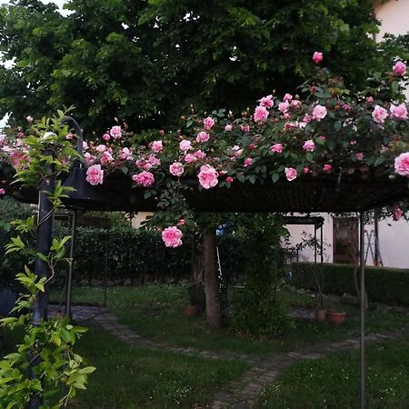 Happy Family B&B Viggianello Dış mekan fotoğraf
